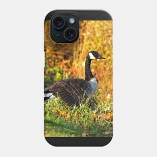 Canada Goose Walking Down A Hill Phone Case