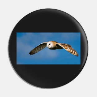 Barn Owl in Flight Pin