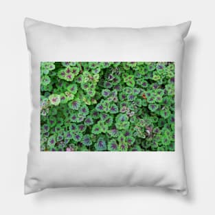 Nature's Design Pillow