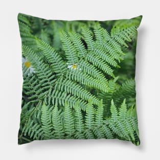 Ferns Pillow