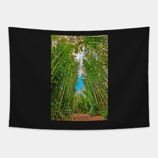 Bamboo Keyhole Forest Tapestry