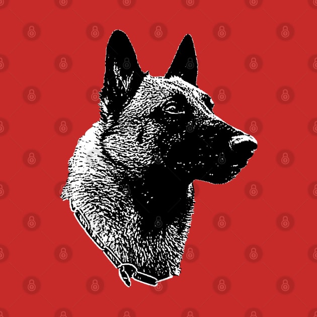 Belgian Malinois by childofthecorn