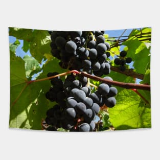 A bunch of black grapes under the blue sky Tapestry