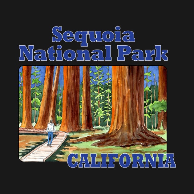 Sequoia National Park, California by MMcBuck