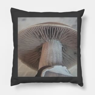 B Plus fresh cut Pillow