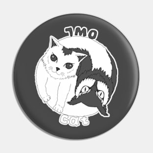 cat and owl Pin