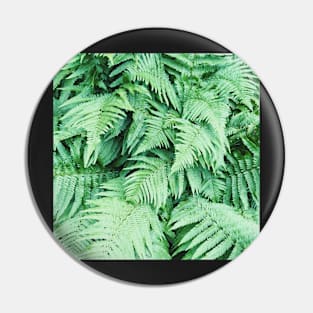 Ferns Pin