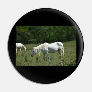 Wild Horse Pin
