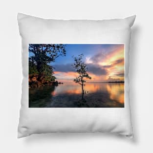 Colours Pillow