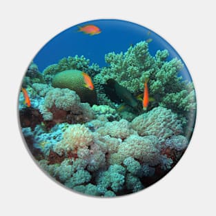 Red Sea Coral Reef Pin