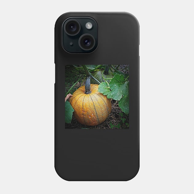 Pumpkin Patch Phone Case by Rebekah Slick