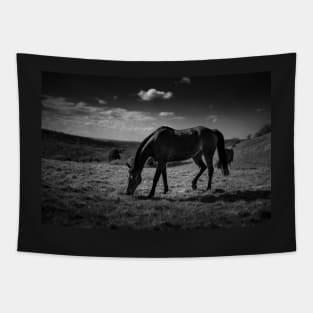 Grazing Horse Tapestry