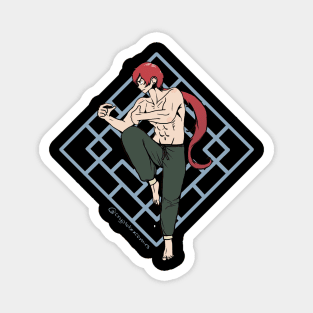 Martial Arts Heiko Magnet