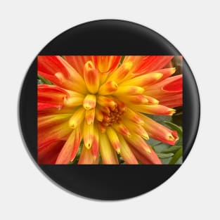 Bursting Yellow and Orange Dahlia of Joy and Happiness Pin