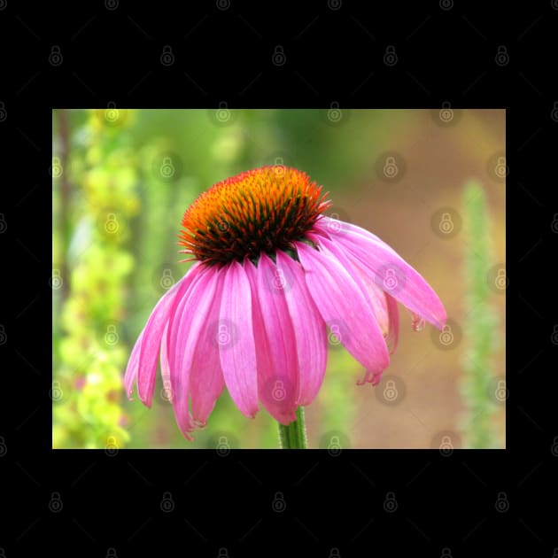 unique pink sunhat - flower, flowers, petals by rh_naturestyles