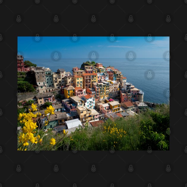 View on the cliff town of Manarola, one of the colorful Cinque Terre on the Italian west coast by Dolfilms