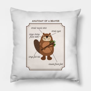 Anatomy of a Beaver Pillow