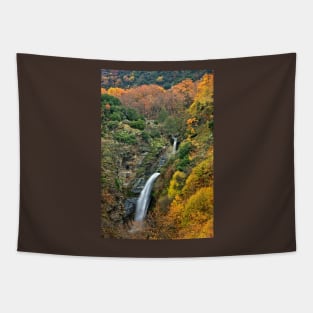 Autumn waterfall Tapestry