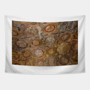 Stabian Baths - Decorative Ceiling - Pompeii Tapestry