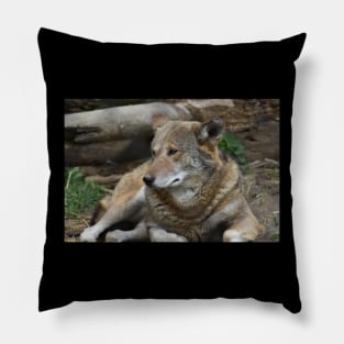 Red Wolf Pillow