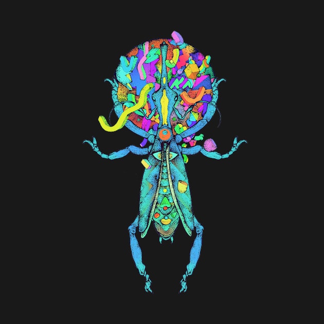 Spatial Beetle Multicolor by ImmortalPink