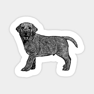 Labrador Retriever Magnet