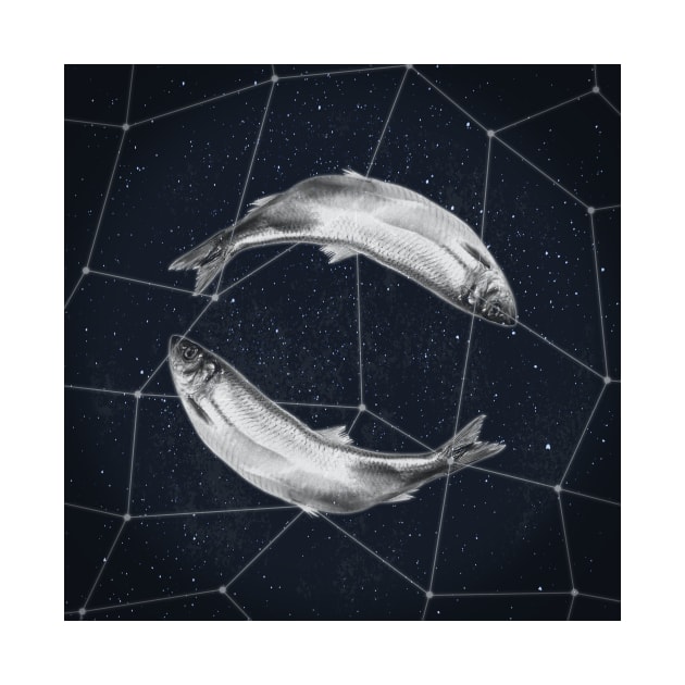 Pisces Constellation by RAADesigns