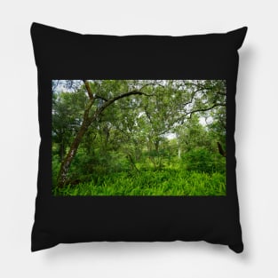 Florida Ferns Pillow