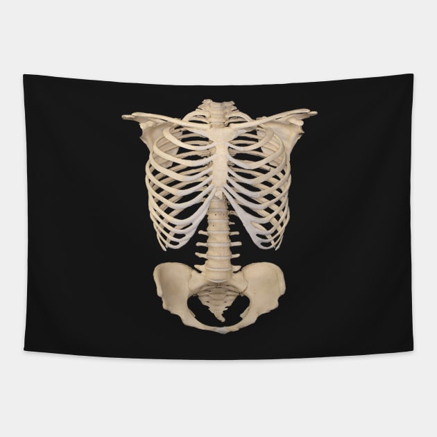 Dark academia 1980s Funny halloween  Anatomy bones skeleton Tapestry by Tina