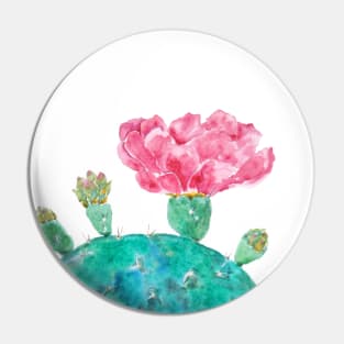 Pink cactus flower watercolor Pin