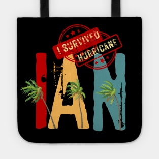 Hurricane Ian Tote