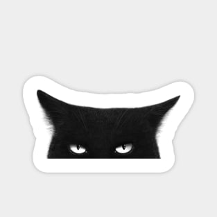 Angry black cat Magnet