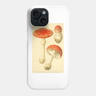 Amanita muscaria - Dufour, L Phone Case