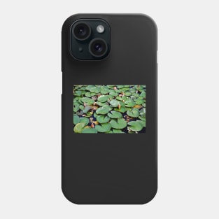 Lotus Serenity: A Glimpse of Tranquil Beauty Phone Case