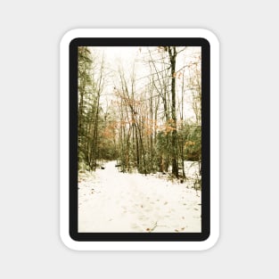 Winter Walk on Film Magnet