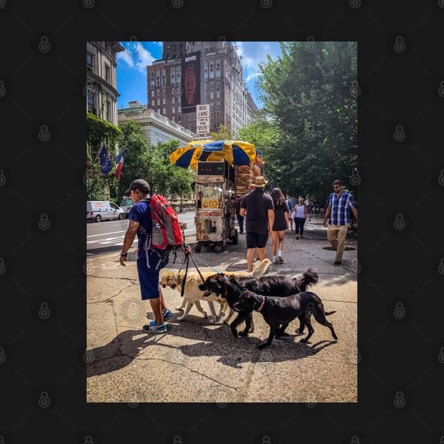 Dog Sitter, Central Park, Manhattan, New York City by eleonoraingrid