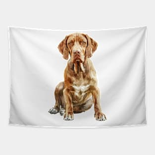 Bracco Italiano Tapestry