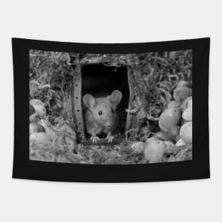 wild house mouse Tapestry