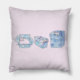 Three cats sitting in blue boxes! Pillow