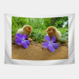 Belgian D'Uccle Chicks with Flowers Tapestry