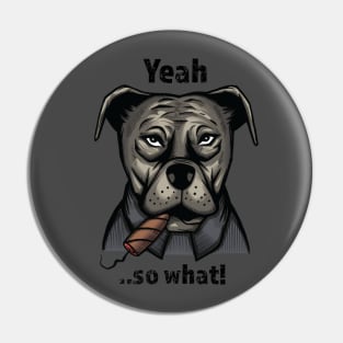 Cigar Dog Pin