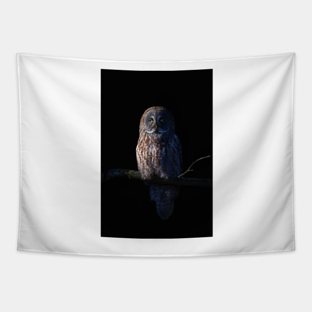 Great Grey Owl Tapestry by Jim Cumming