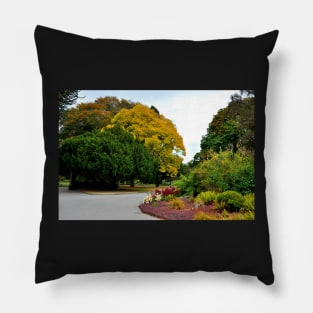 Nouvelle Zélande - Christchurch Pillow