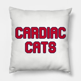 Florida Panthers Pillow