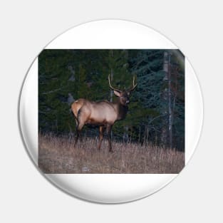 Canadian Elk Pin