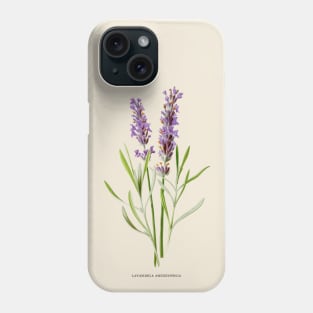 Lavender Antique Botanical Illustration Phone Case