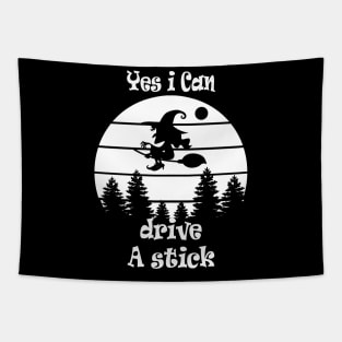 Yes i Can drive A stick Tapestry