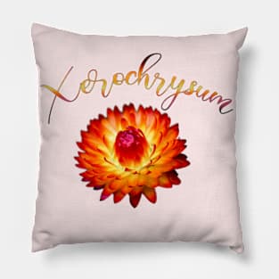 Bright Orange Strawflower Pillow