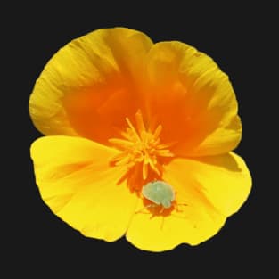 Californian Poppy Bug T-Shirt