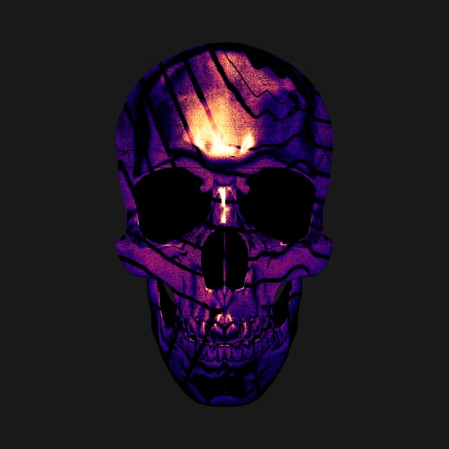 Skull 1 by nabakumov